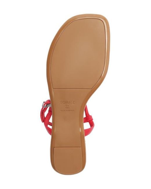 SCHUTZ SHOES Red Elsha T-Strap Sandal