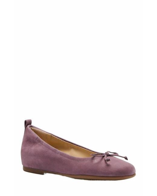 ABEO Purple Cadence Bow Ballet Flat