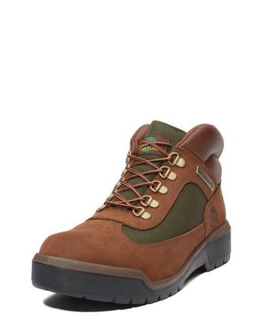 Timberland Brown Field Waterproof Boot for men