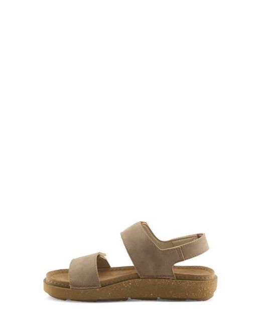 Flexus by Spring Step Brown Bravies Ankle Strap Sandal