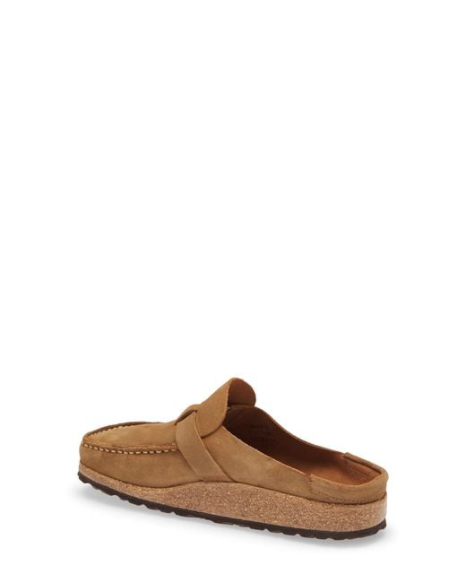buckley clog