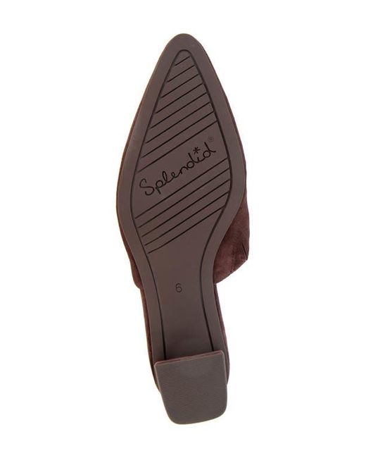 Splendid Brown Lorelei Mule