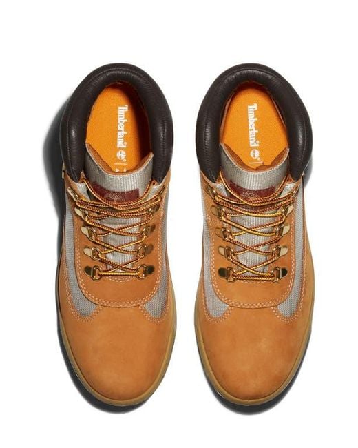 Timberland Brown Field Waterproof Boot for men