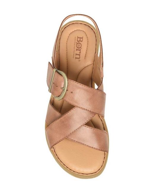 Børn Multicolor Beebe Sandal