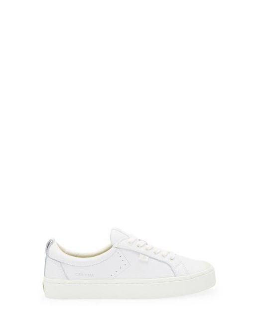 CARIUMA White Oca Low Cap Tie Sneaker