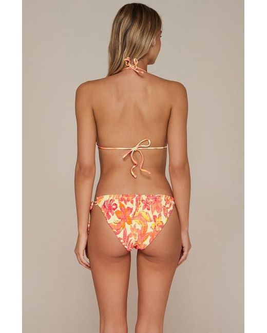 Swim Systems Brown Kali Triangle Bikini Swimsuit Top