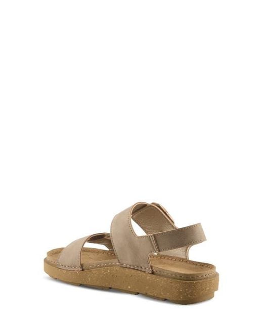 Flexus by Spring Step Brown Bravies Ankle Strap Sandal