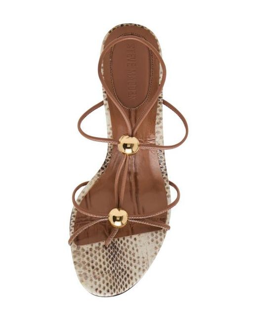 Steve Madden Multicolor Ramos Strappy Sandal