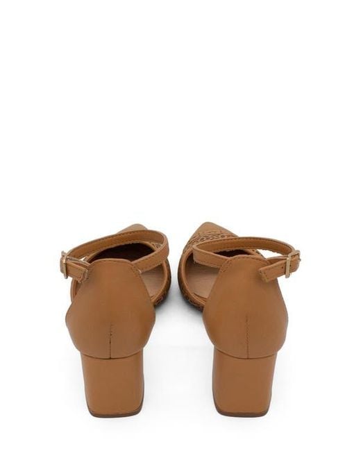 BOTTER Brown Botjanet Xxiii Ankle Strap Pointed Toe Pump