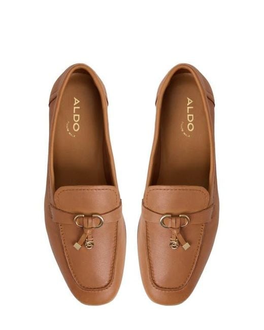 ALDO Brown Ybilide Loafer