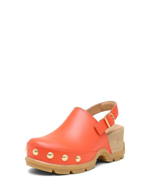 Sorel Orange Roam'N Rvt Clog