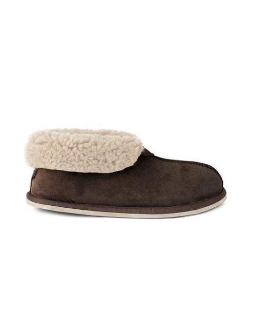 Celtic & Co. Brown Ladies' Shearling Bootee Slippers