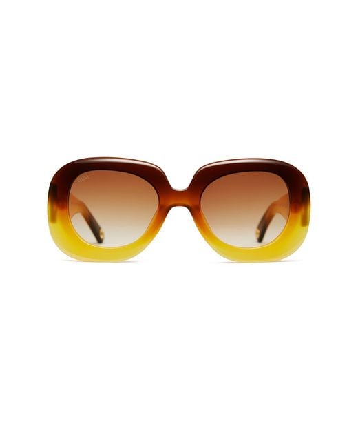 VADA Brown Leon Honey Bee