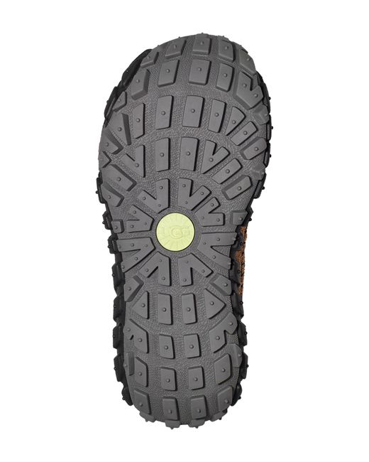 Ugg Multicolor ugg(r) Venture Daze Platform Slip-on Shoe
