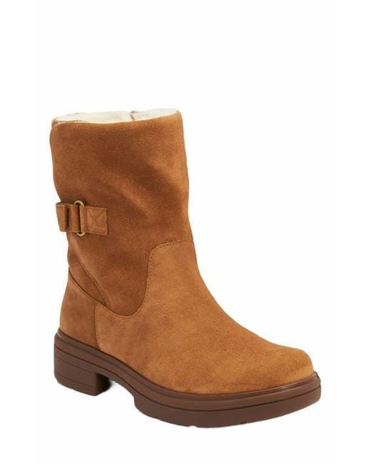 ABEO Brown Vista Mid Boot