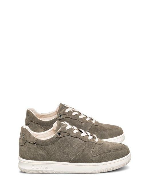 CLAE Multicolor Malone Leather Sneaker for men