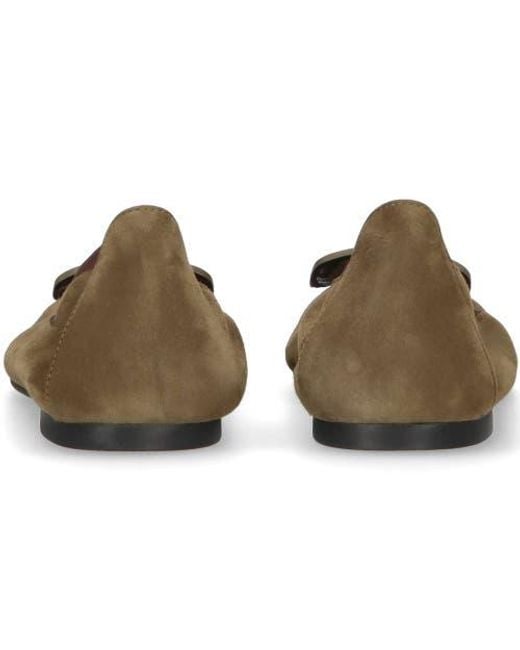 Pretty Ballerinas Brown Pointed Toe Elasticated Ballet Flat
