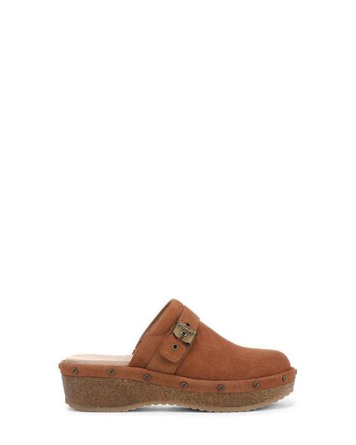 Dr. Scholls Brown Originalflex Clog