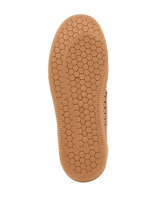 Dolce Vita Natural Notice Sneaker