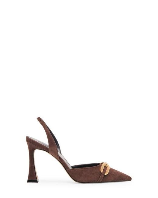 Dolce Vita Multicolor Malik Slingback Pointed Toe Pump