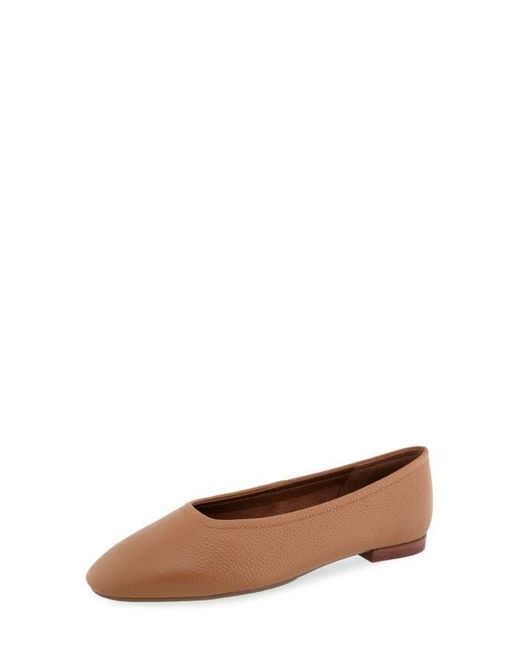 Aerosoles Brown Amelie Ballet Flat