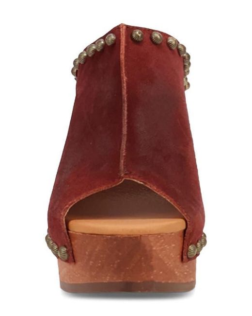 Dingo Brown Echo Clog