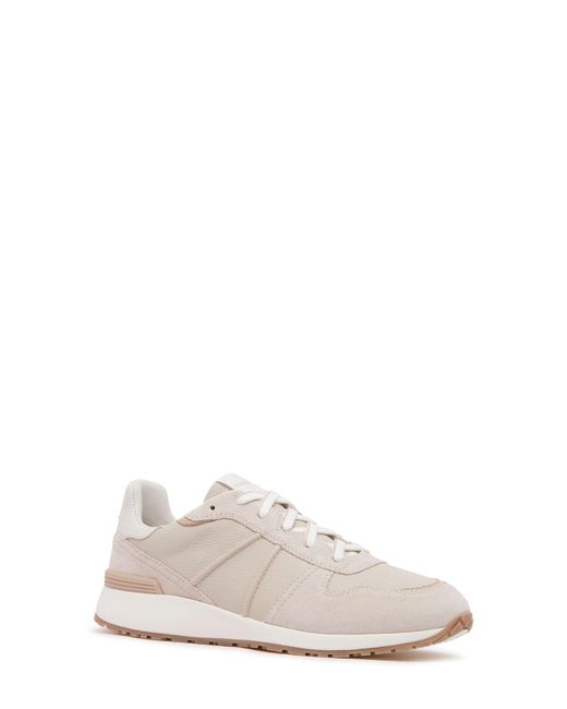 Frankie White Raider Sneaker