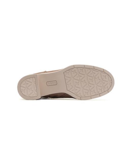 ABEO Brown Metropolis Lace Boot