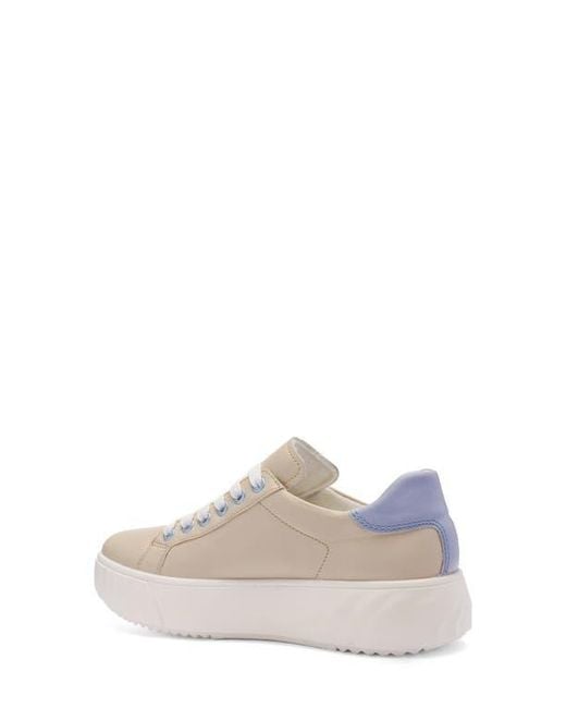 Ara Multicolor Mikky Platform Sneaker