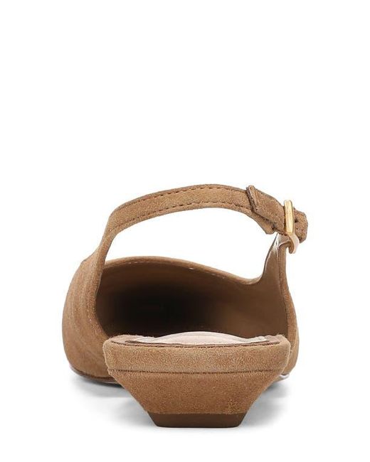 Sam Edelman Brown Netty Slingback Pointed Toe Flat