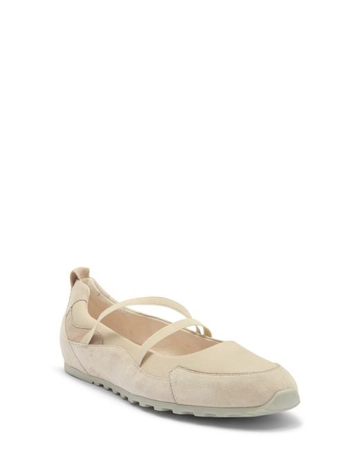 Paul Green Natural Dynamic Flat