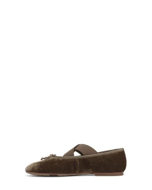 Sam Edelman Brown Arya Ballet Flat