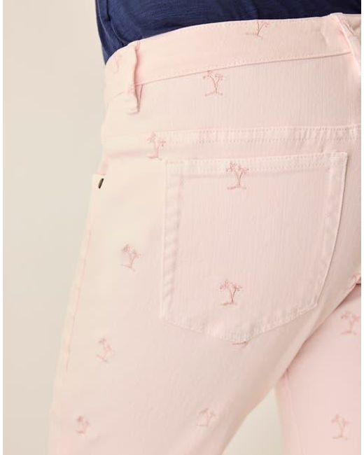 Carve Designs Blue Carson Jean
