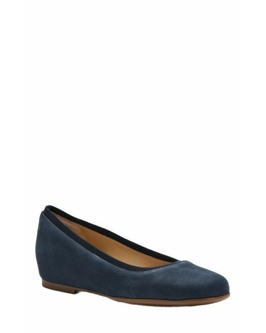 ABEO Blue Cadence Ballet Flat