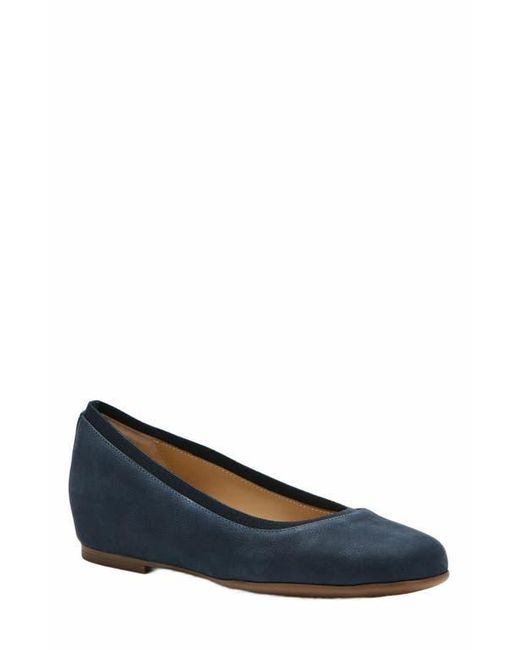 ABEO Blue Cadence Ballet Flat