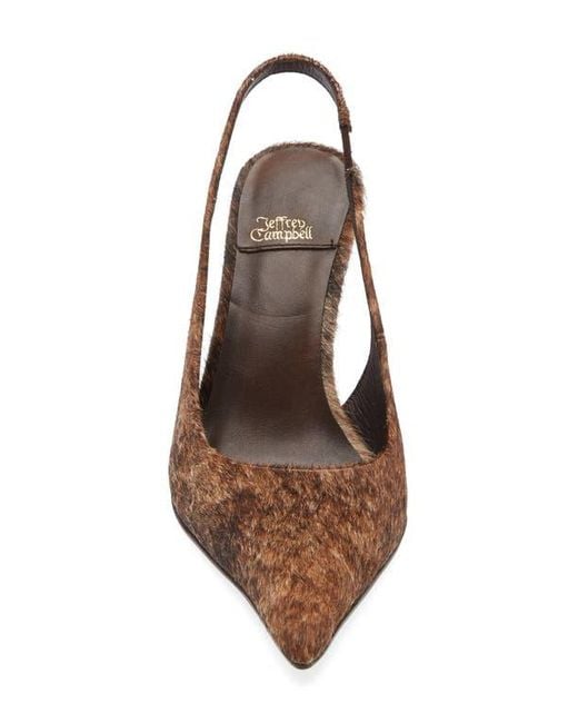 Jeffrey Campbell Brown You Wish Genuine Calf Hair Pointed Toe Pump