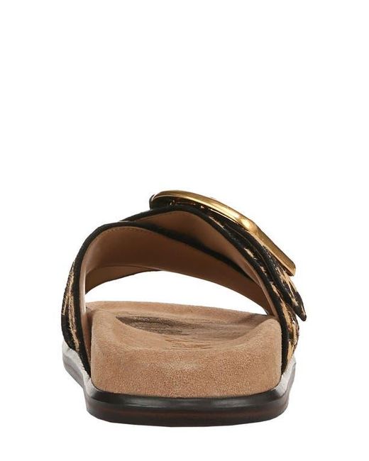 Sam Edelman Brown Darla Slide Sandal