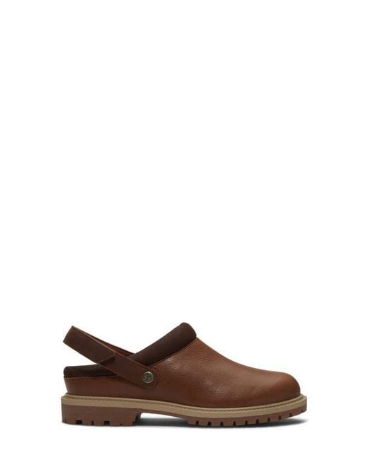 Timberland Brown Clog
