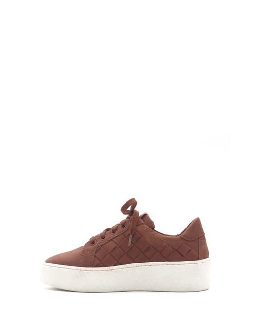 Gentle Souls Brown Kindy Platform Sneaker
