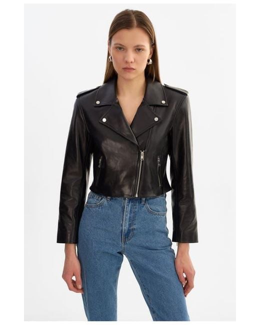 Lamarque Black Denalda