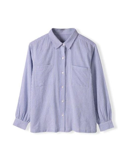Celtic & Co. Purple Side Split Striped Shirt