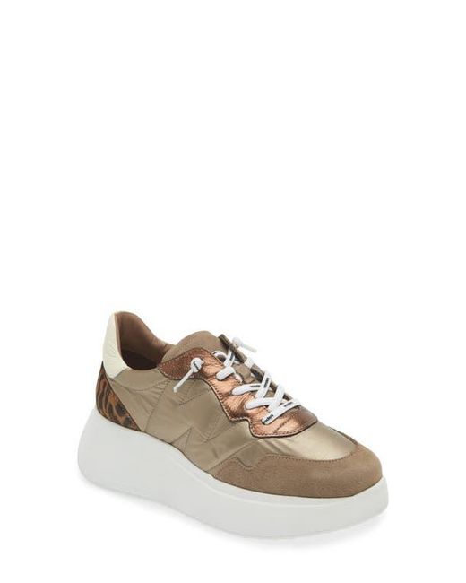 Wonders Multicolor Platform Sneaker