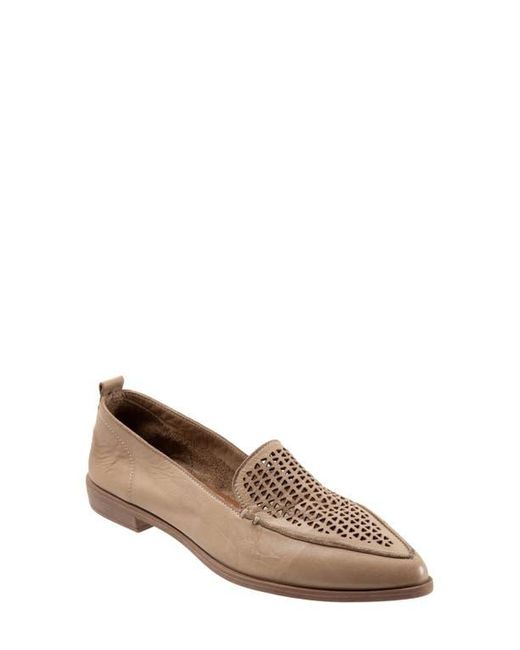 BUENO Brown Blazey Pointed Toe Flat