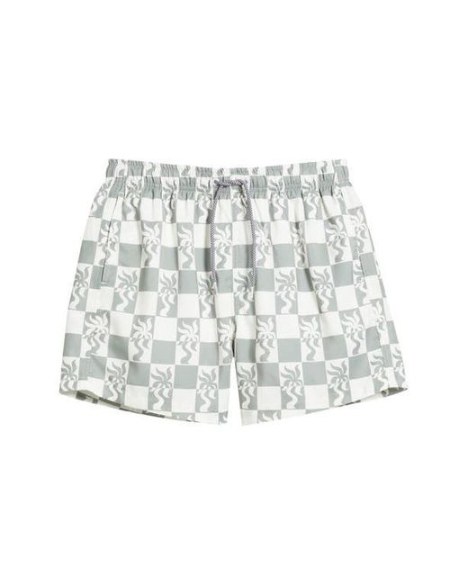 Boardies Multicolor Clara Palm Tree Checkerboard Print Mid Length Swim Trunks for men
