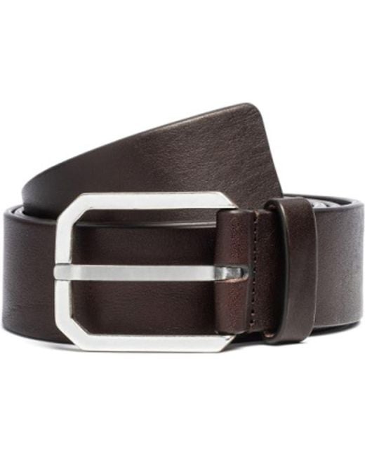 To Boot New York Brown Leather Belt for men