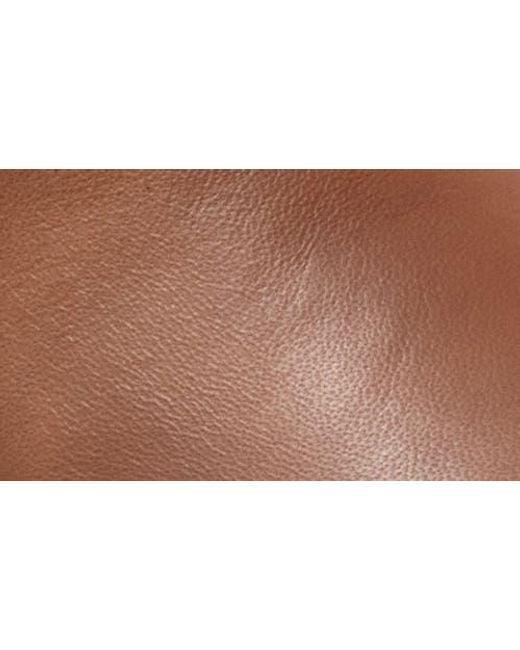 Softwalk® Brown Adelaide Bootie