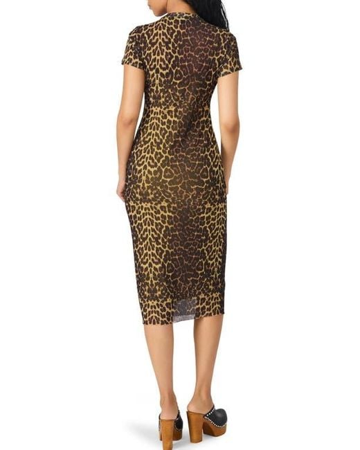 Steve Madden Brown Hailee Print Dress