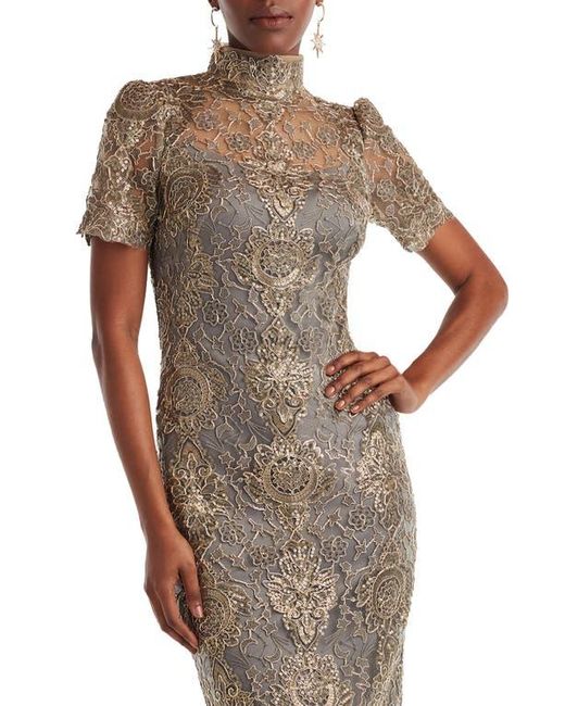 chinese dress ladies Tadashi Shoji Women's Jovie Sequin Embroidered Illusion Gown - Gray - Size 8