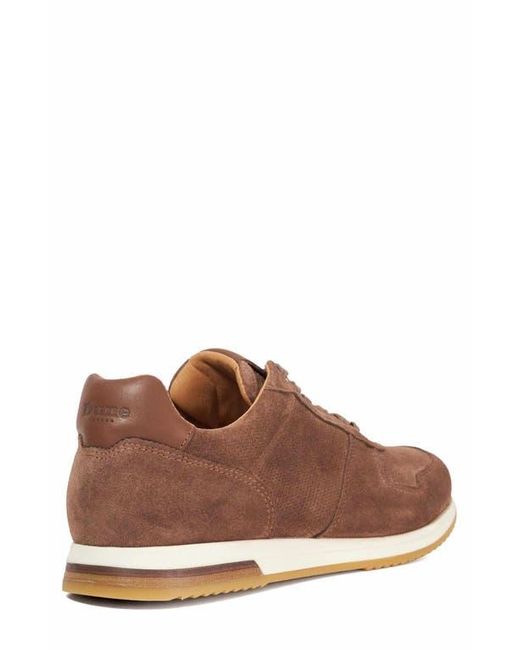 Dune Brown Trilogy Sneaker for men