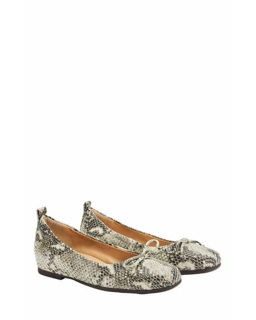 ABEO White Cadence Bow Ballet Flat